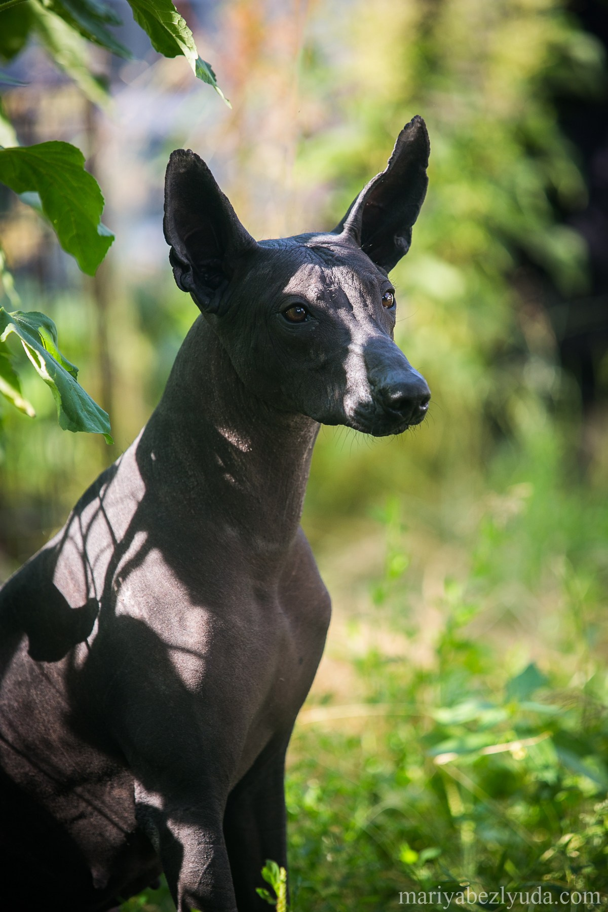 На природе. Семейный и детский фотограф в Москве Мария Быкова