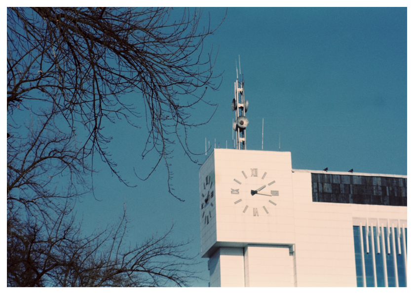 See into the trees — zine. Pictorial dream — fine art fil photography by Yaroslav Pavlov