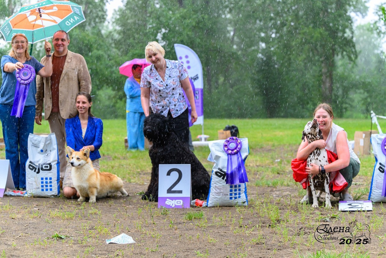 Отзывы. Фотограф анималист Елена Галдина г. Красноярск