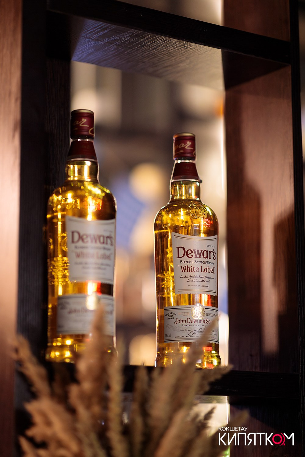 PANARAMA. КИПЯТКОМ КОКШЕТАУ