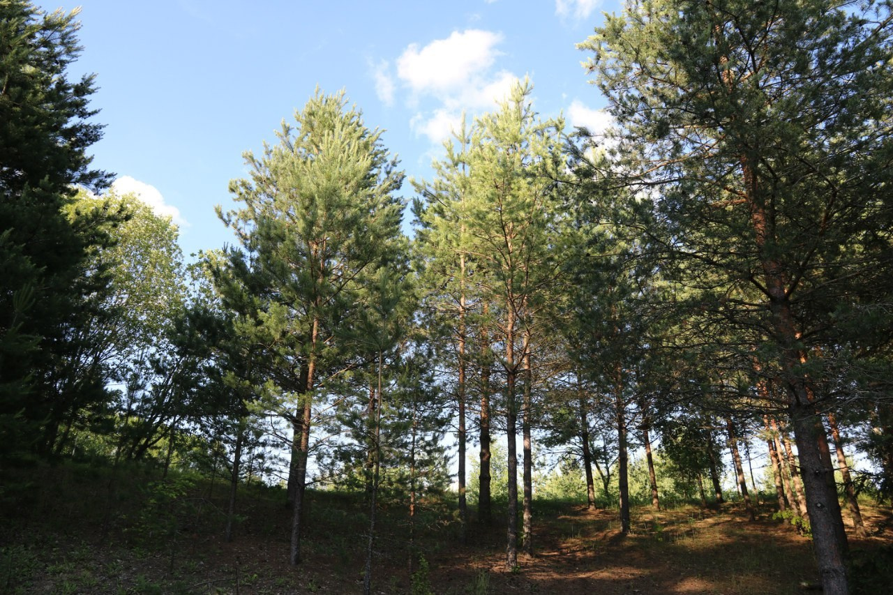 Походная Романтика 17 | 17-19.06.2016. Галерея Фантим