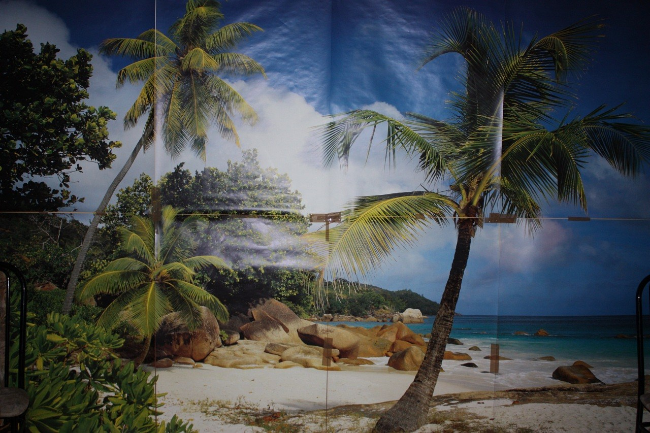 А у нас на Гавайях | 06-08.03.2010. Галерея Фантим