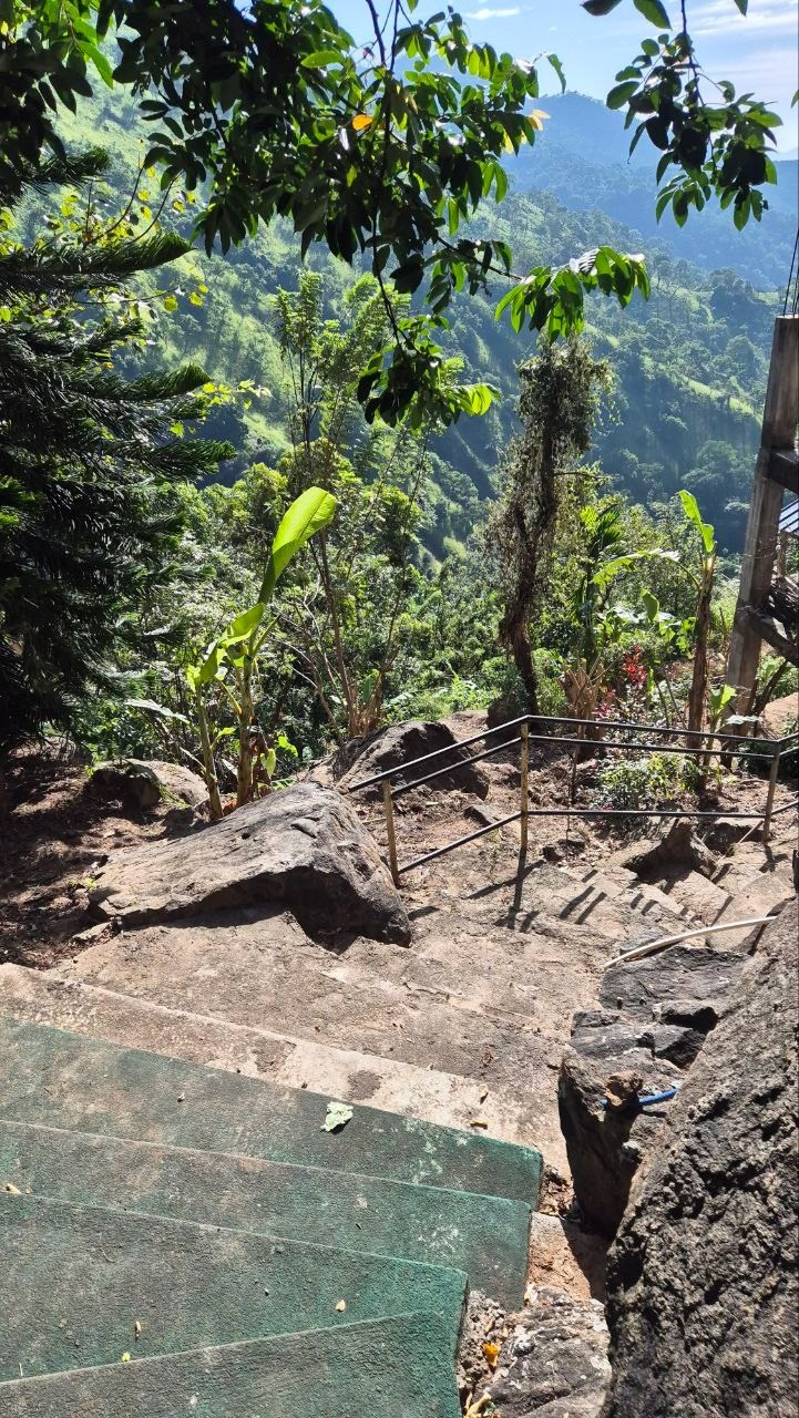 Шри-Ланка | 31.01 — 10.02.2025. Галерея Фантим