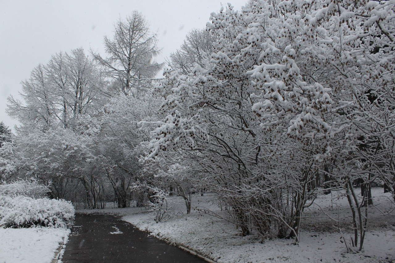 Однажды в Мексике | 20-21.11.2010. Галерея Фантим