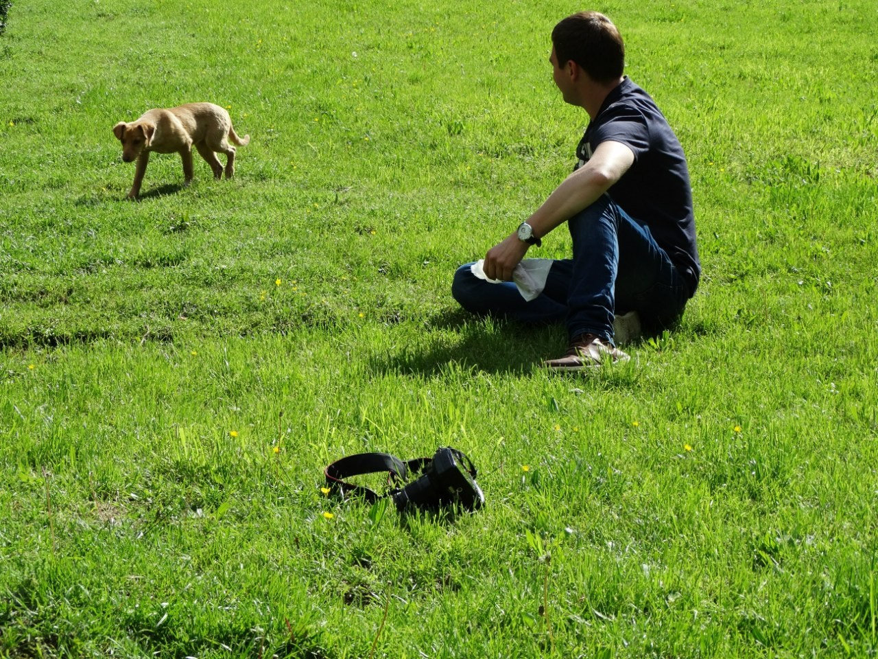 Путешествие в Азербайджан, Грузию и Армению | 01-09.05.2015. Галерея Фантим