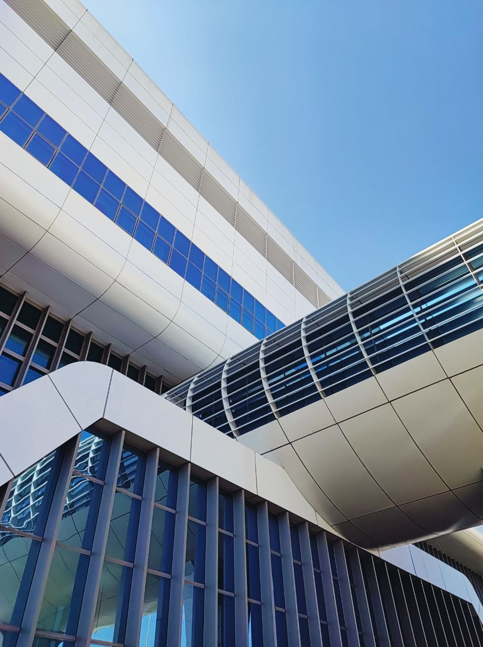 Намобилкус казахский. Репортажный фотограф Алексей Пирязев