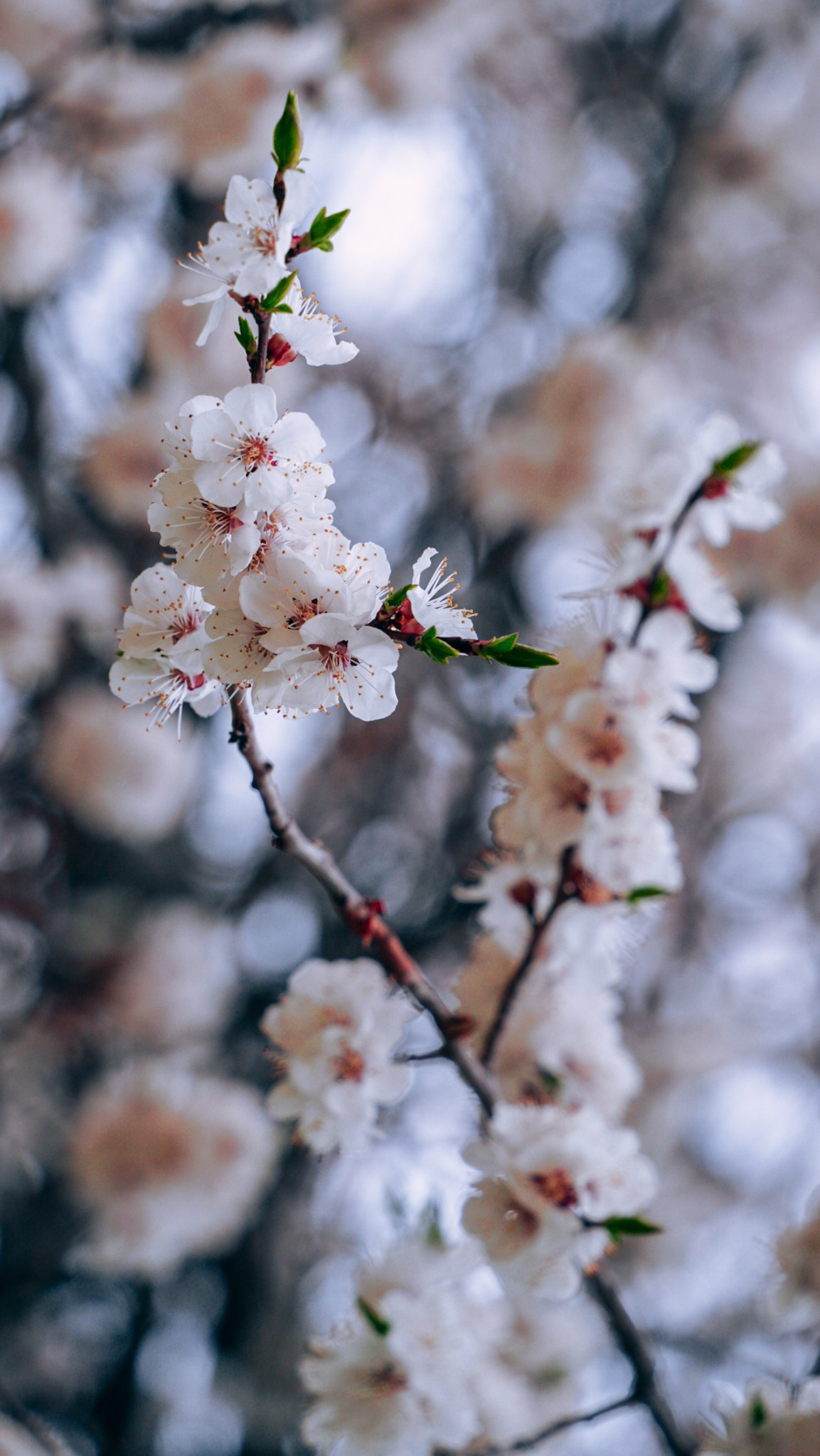 Кыргызстан. Человек с фотокамерой