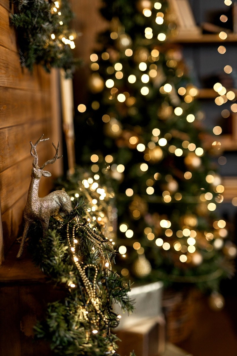 НГ 2024. HOME Studio. Детский и семейный фотограф в Красноярске. Фотосессии новорожденных малышей до 1 месяца