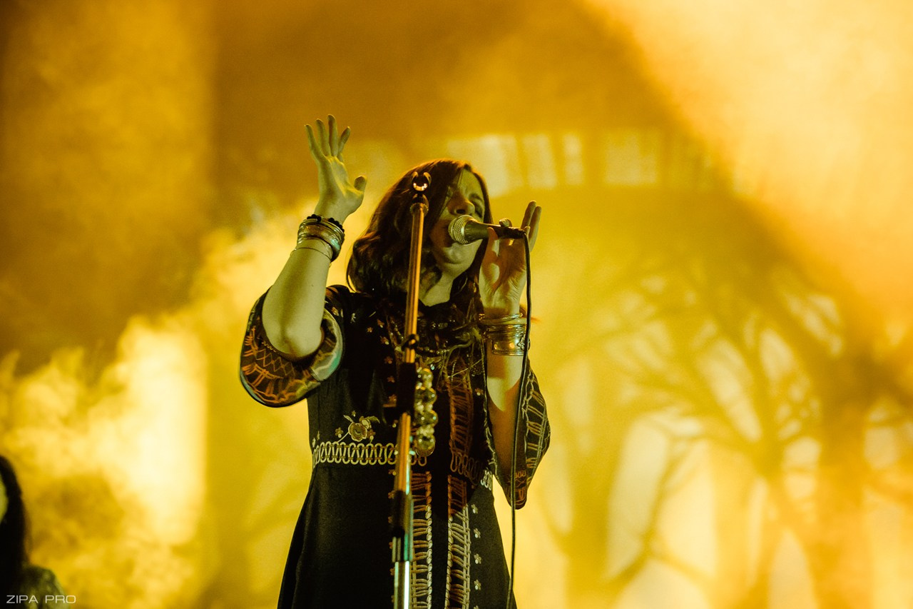 Концерт гр. «Theodor Bastard». Фотограф Zipa Pro