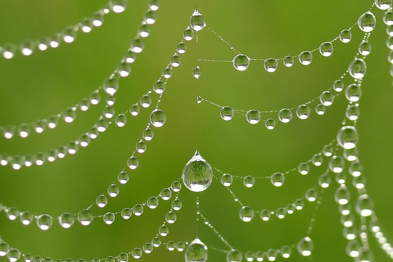 Природа. Фото детских спортивных мероприятий и всякое интересное через объектив