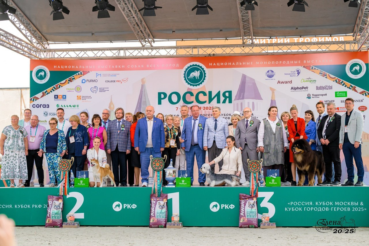 Отзывы. Фотограф анималист Елена Галдина г. Красноярск