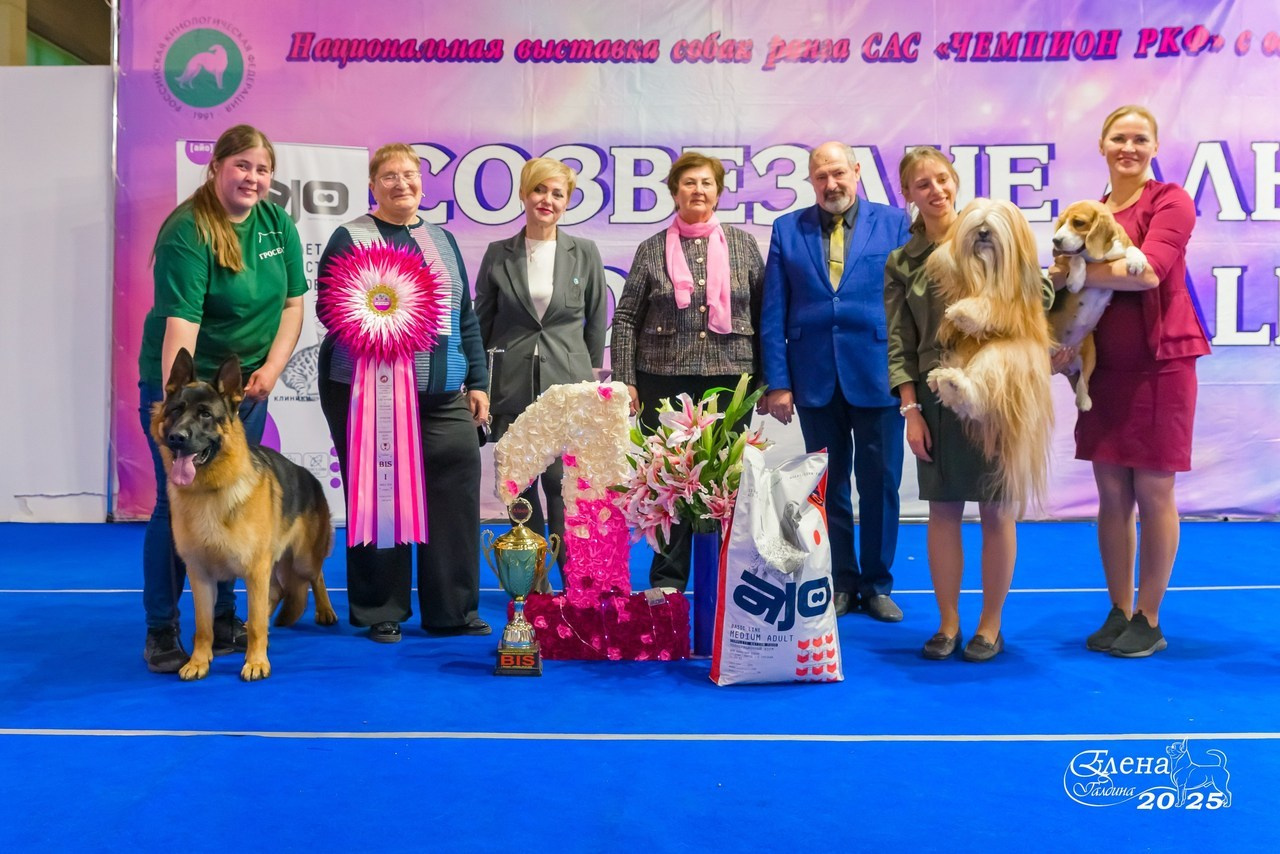 Отзывы. Фотограф анималист Елена Галдина г. Красноярск