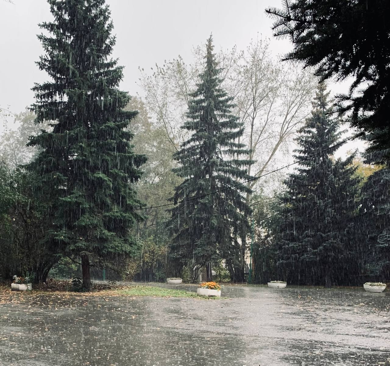 Стрит фото. Фотограф в Екатеринбурге Татьяна Соколовская