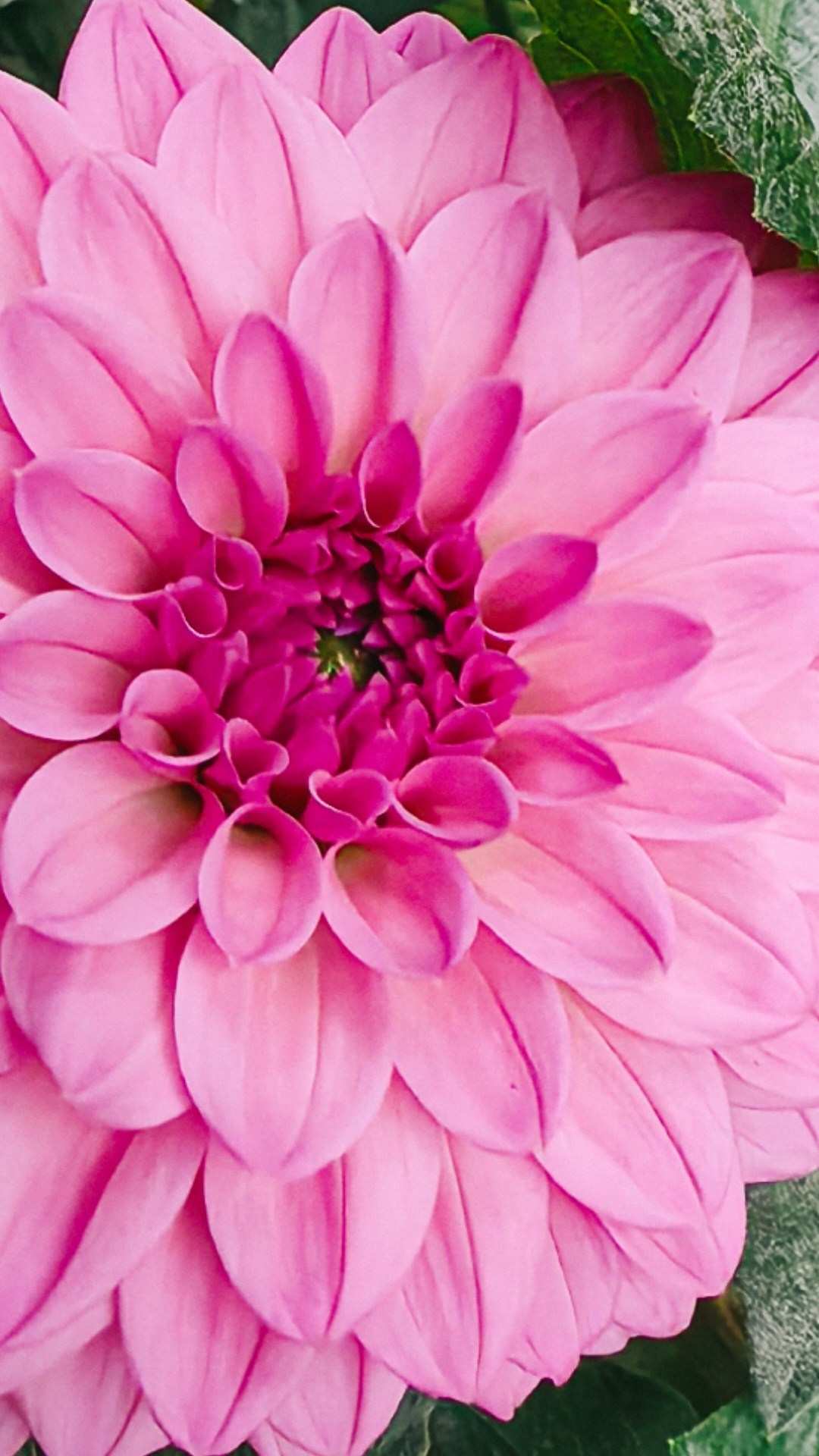 Академия фотографии. Фото/Ретушь/Обучение