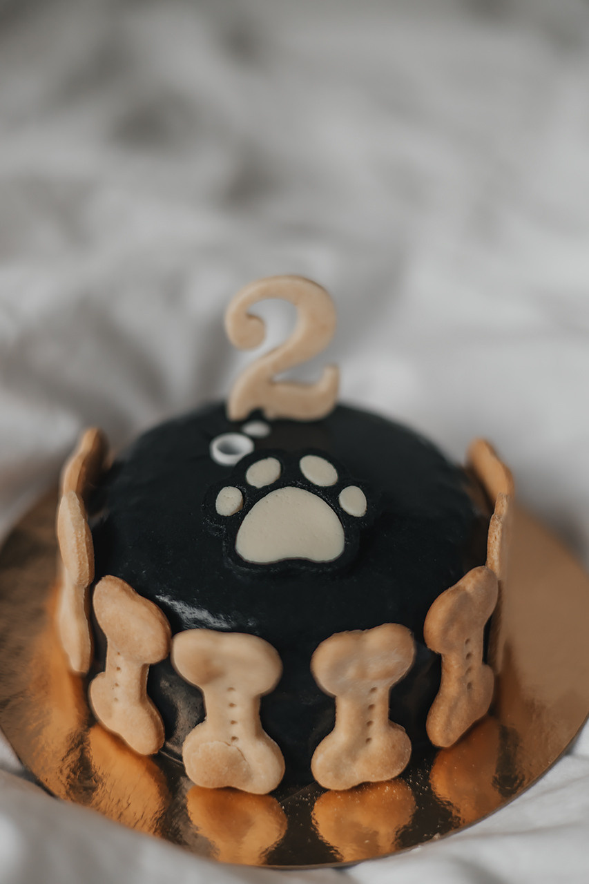 Яна и Ханзо |Happy B-day Ханзо_2 года|. Фотограф