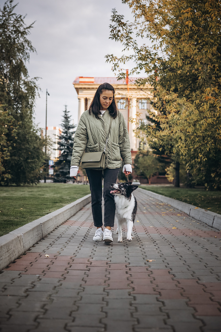 Холли и Дерзай |Бордер колли|. Фотограф