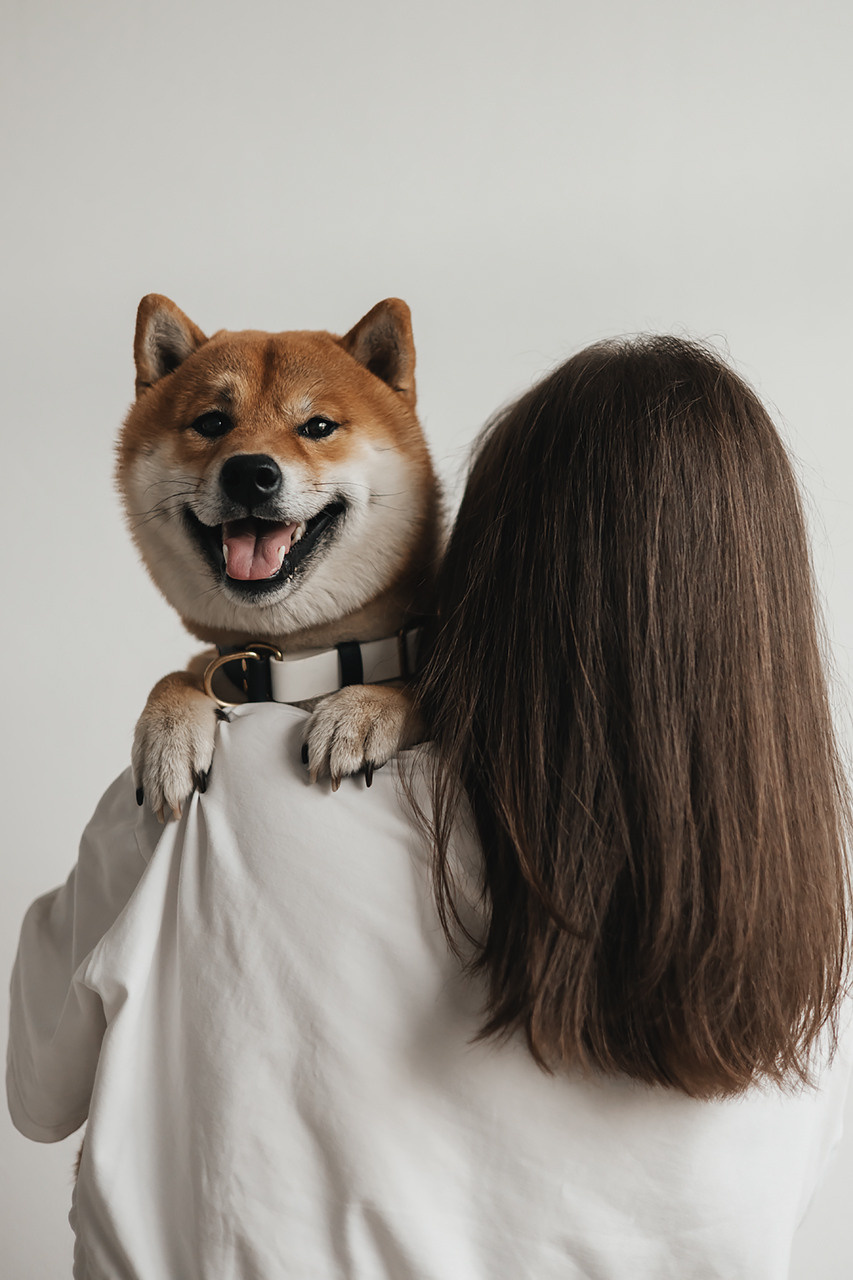 Яна и Ханзо |Happy B-day Ханзо_2 года|. Фотограф