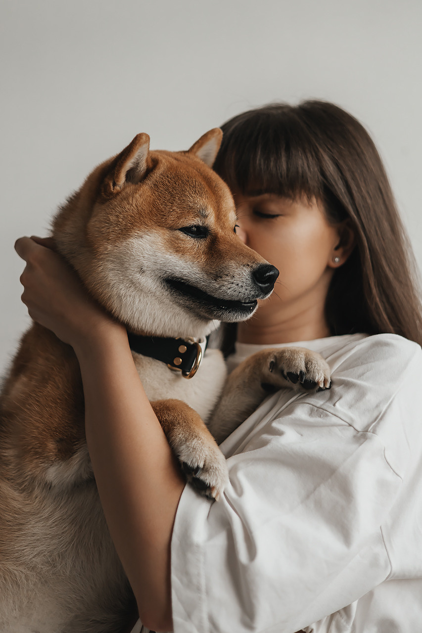 Яна и Ханзо |Happy B-day Ханзо_2 года|. Фотограф