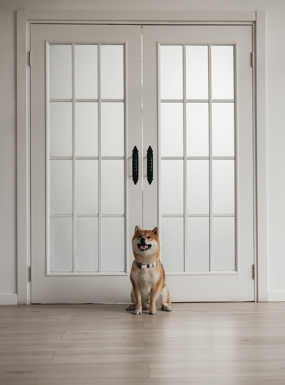 Яна и Ханзо |Happy B-day Ханзо_2 года|. Фотограф