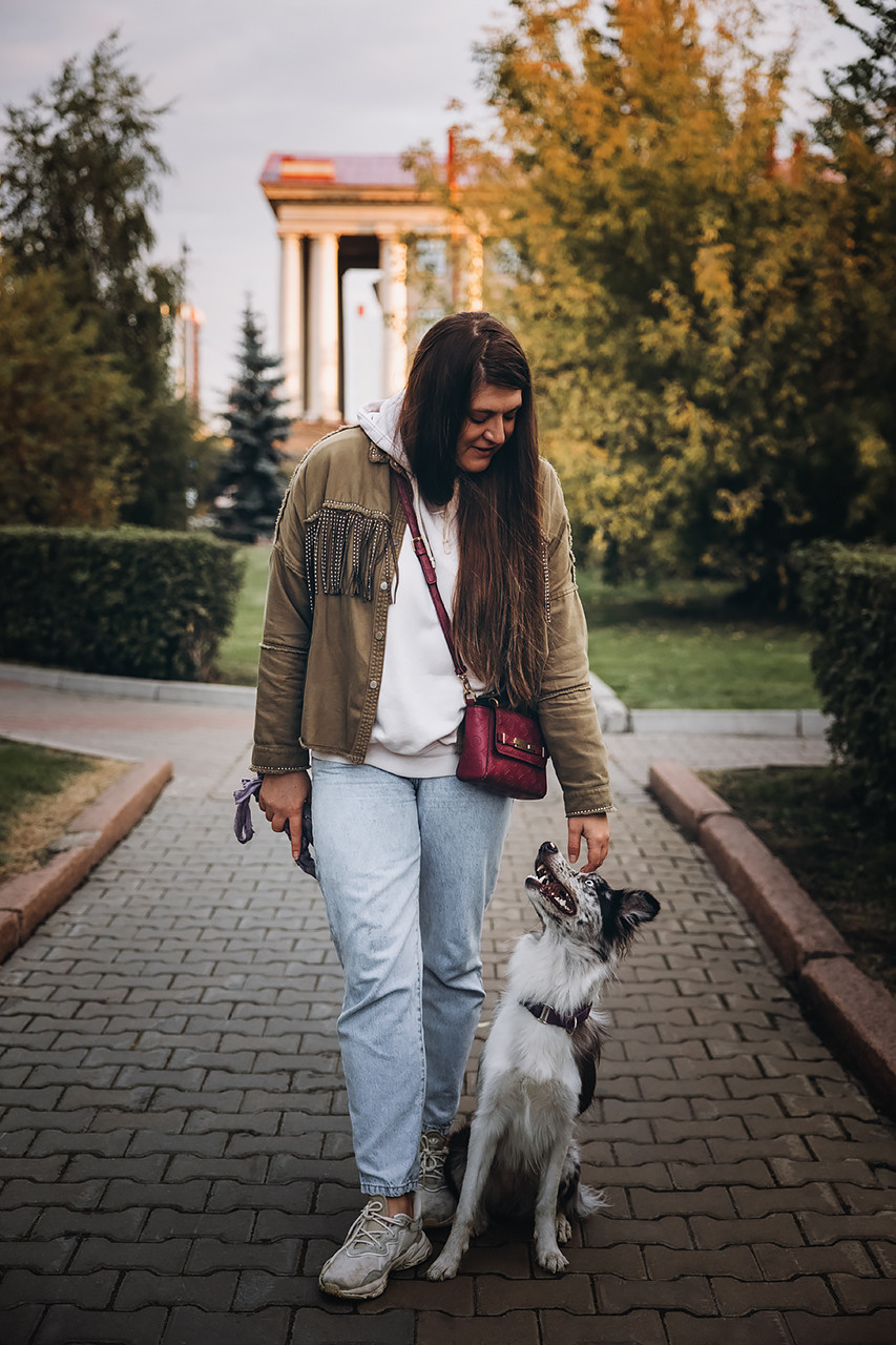 Холли и Дерзай |Бордер колли|. Фотограф