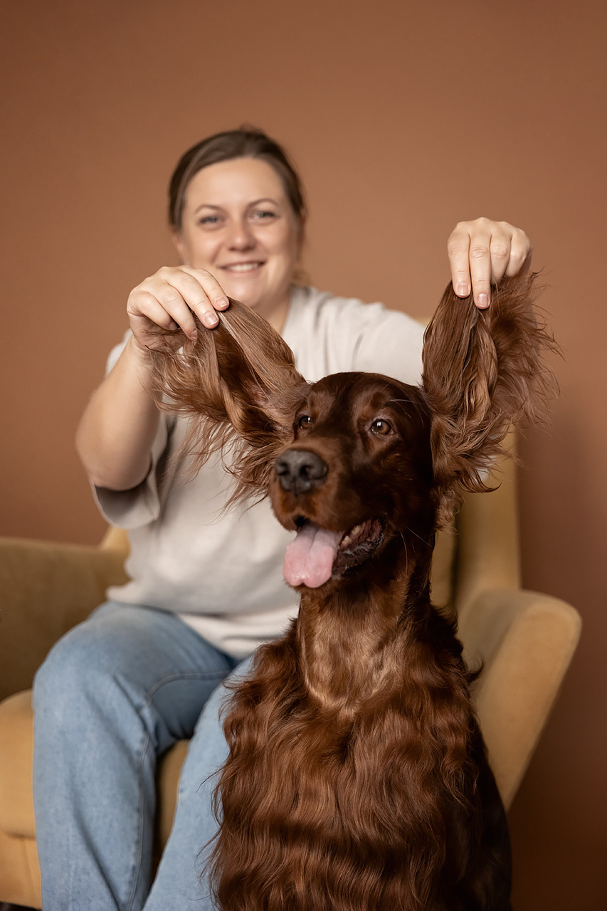 Валентина и Флеш |Ирландский красный сеттер|. Фотограф