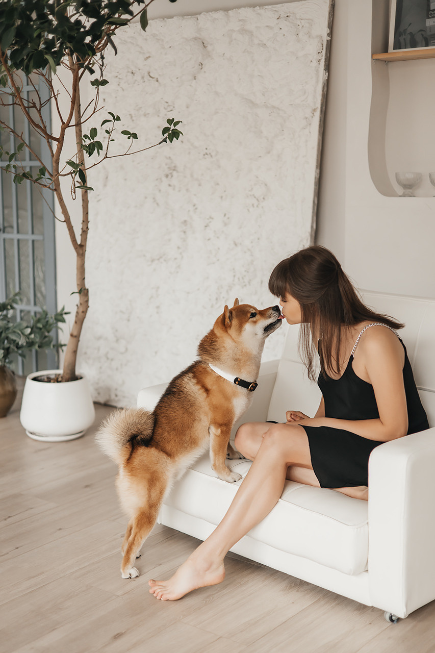 Яна и Ханзо |Happy B-day Ханзо_2 года|. Фотограф