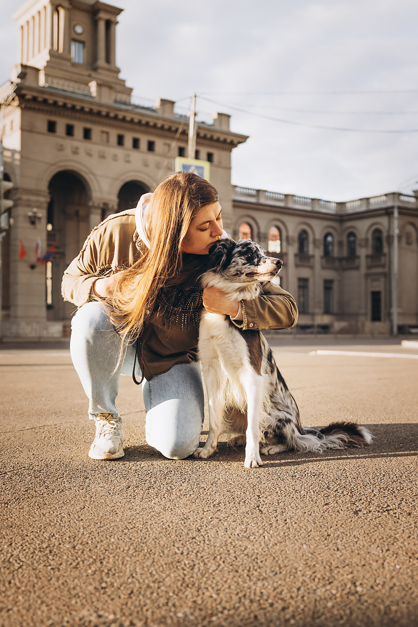 Холли и Дерзай |Бордер колли|. Фотограф