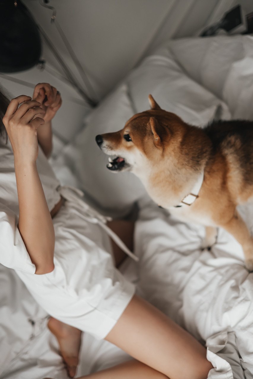 Яна и Ханзо |Happy B-day Ханзо_2 года|. Фотограф