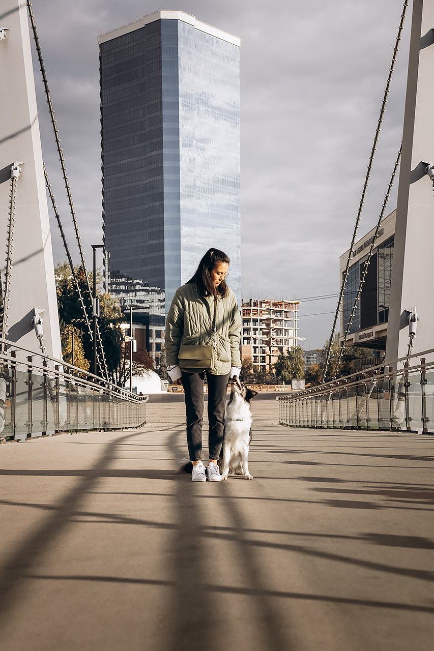 Холли и Дерзай |Бордер колли|. Фотограф