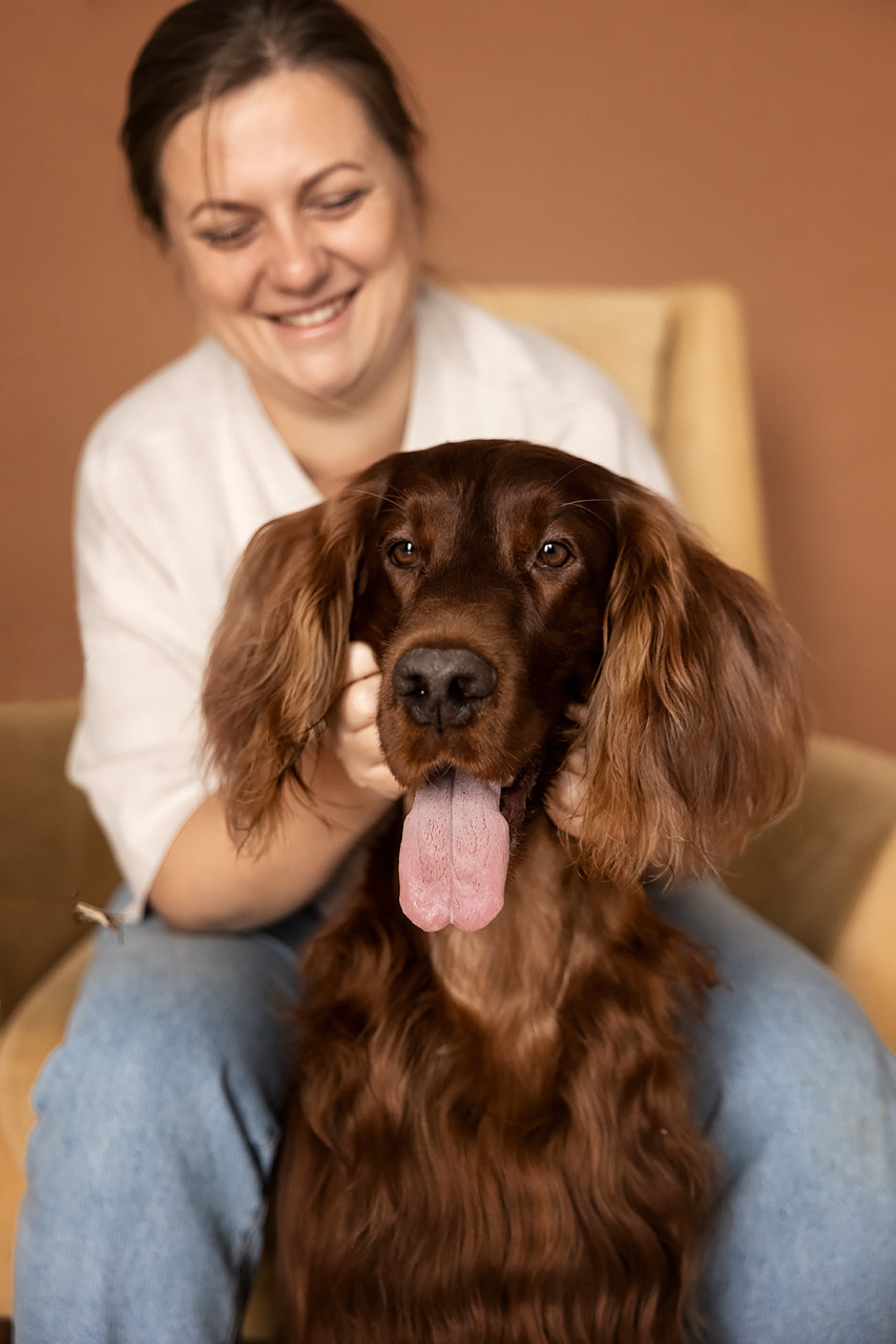 Валентина и Флеш |Ирландский красный сеттер|. Фотограф