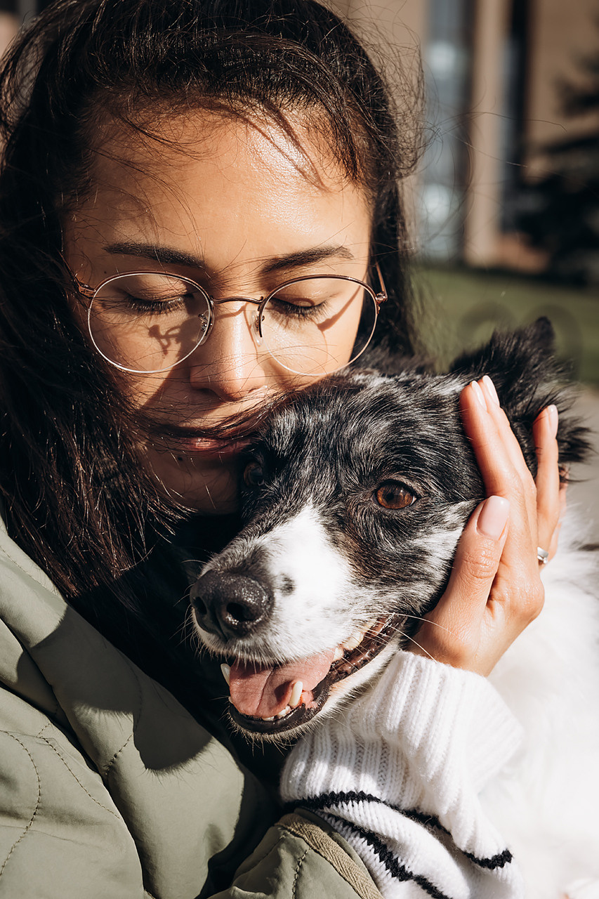 Холли и Дерзай |Бордер колли|. Фотограф