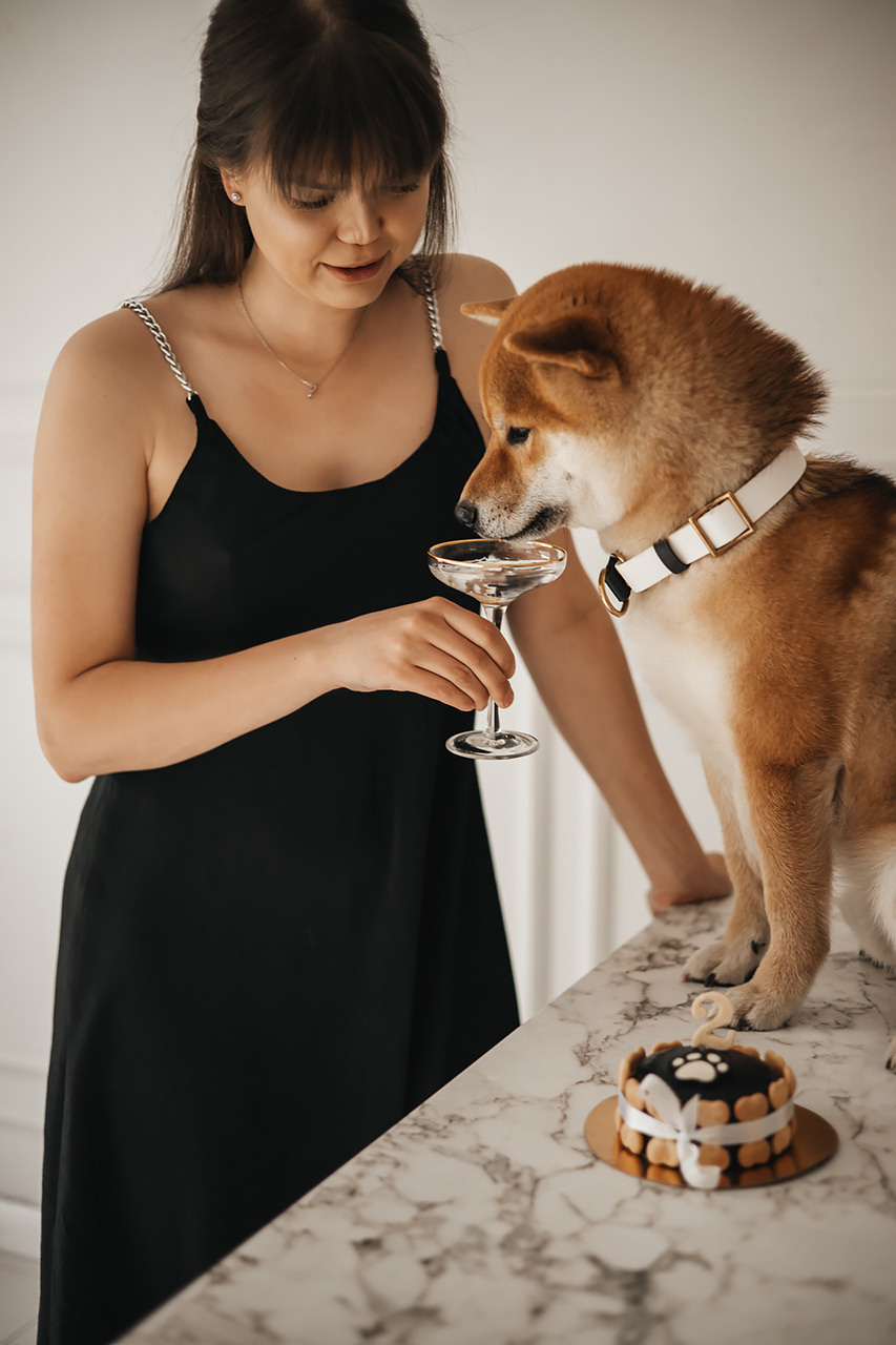 Яна и Ханзо |Happy B-day Ханзо_2 года|. Фотограф