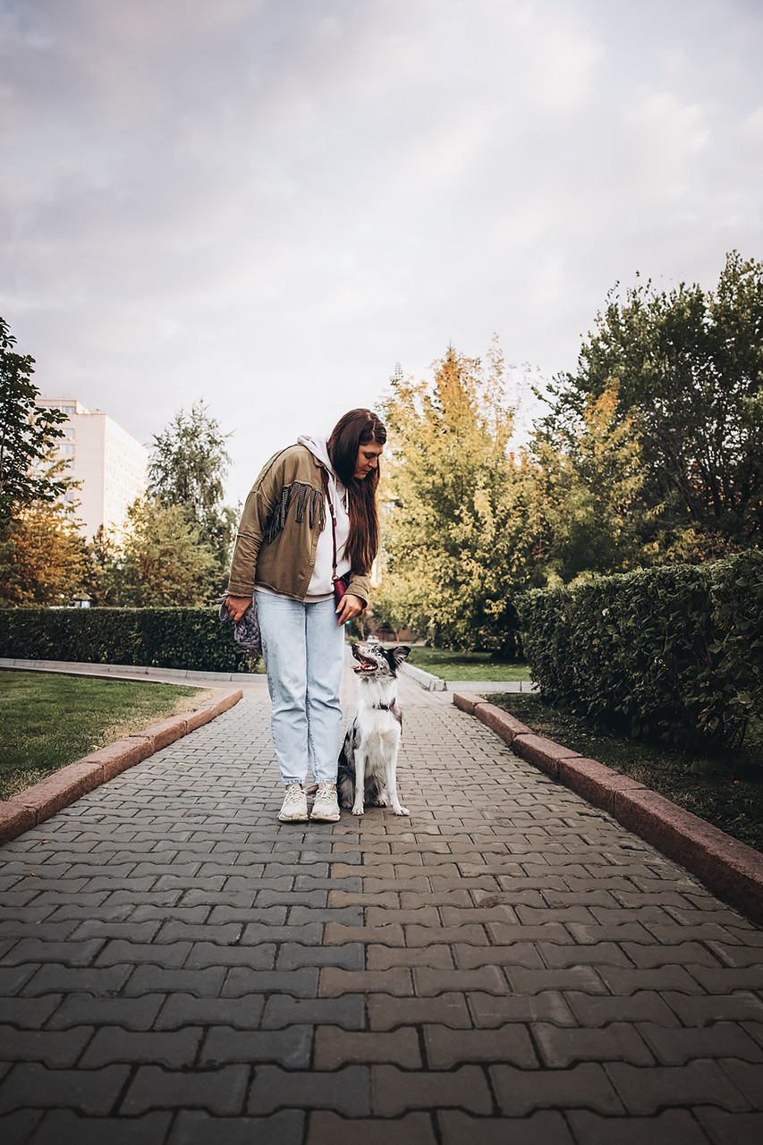 Холли и Дерзай |Бордер колли|. Фотограф