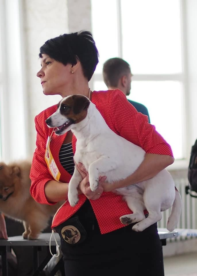 CANE MAESTRO ILANG-ILANG. CANE MAESTRO — kennel Jack Russell Terrier