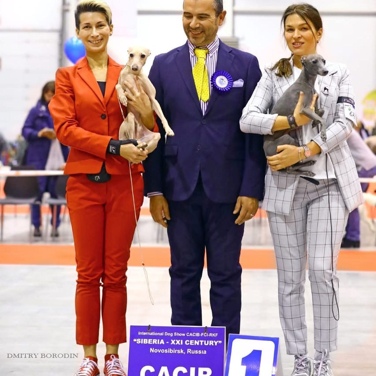 Выпускники ЧЕМПИОНЫ. Профессиональный питомник левреток РКФ/FCI ASTI SAPPHIRE 💎 Сочи|Санкт-Петербург