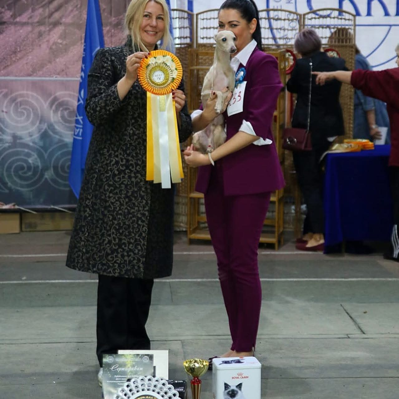 Выпускники ЧЕМПИОНЫ. Профессиональный питомник левреток РКФ/FCI ASTI SAPPHIRE 💎 Сочи|Санкт-Петербург