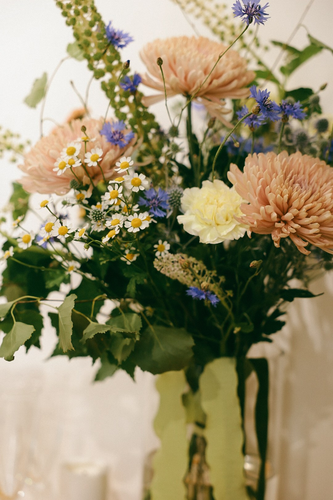 Мята. Фотограф Нижний Новгород