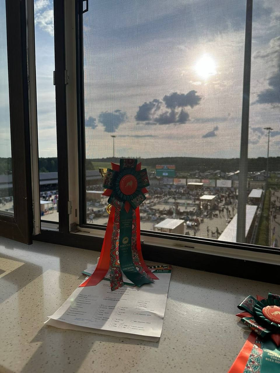 Участие в выставках. Американские булли XL в г. Калининград. Питомник Great Bully UNIVERSE