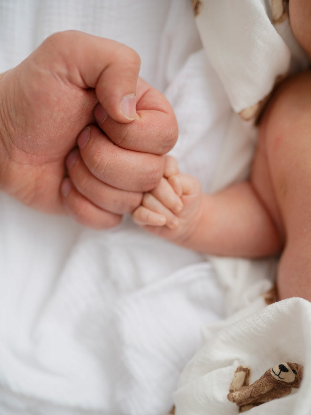 Семейные. Фотограф Виолетта Матевосян