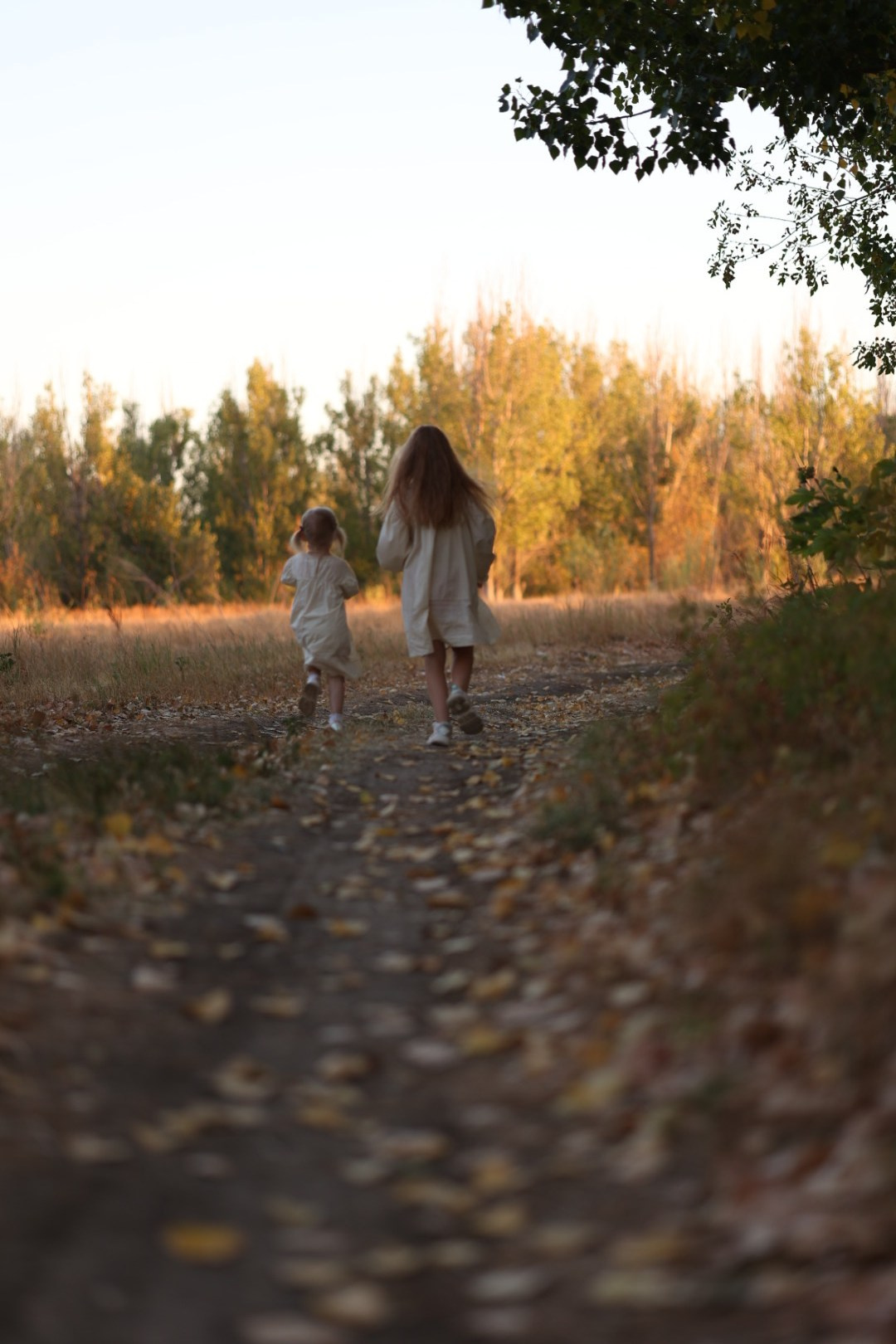 Семья и дети. Основное