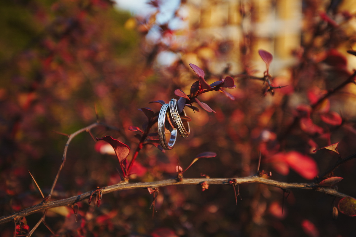 Weddings. Организация и съёмка мероприятий любого формата. Иван Быков