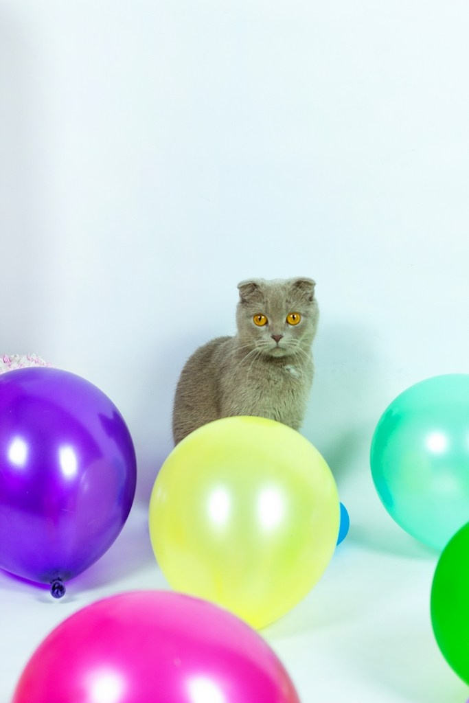 #дети #деньрождения #фотограф #комсомольскнаамуре