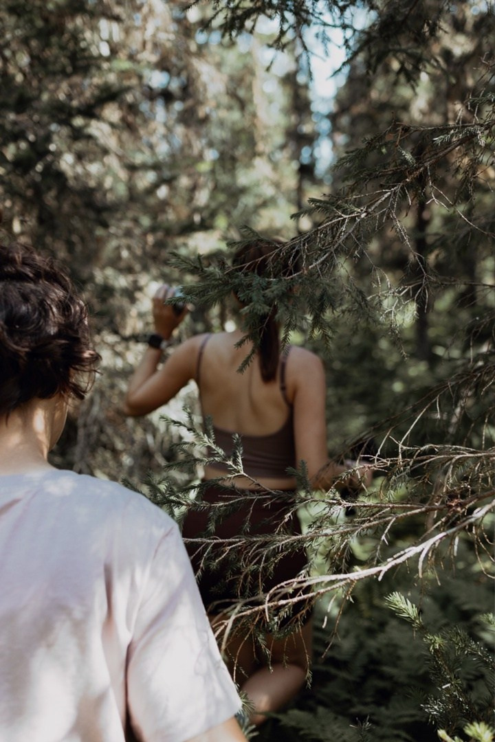 Главный Уральский Хребет