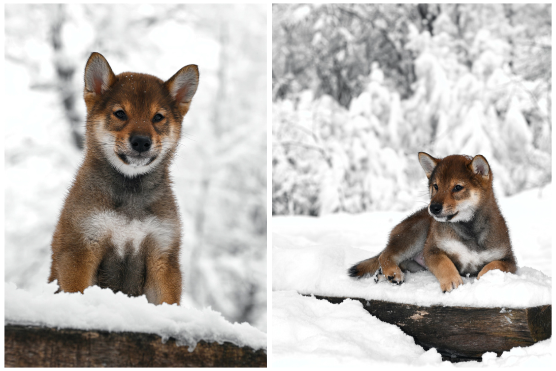 Юлия Пронина. Фотограф в России, Семейный фотограф, репортажный фотограф, детский фотограф, портретный фотограф, контент фотограф, универсальный фотограф