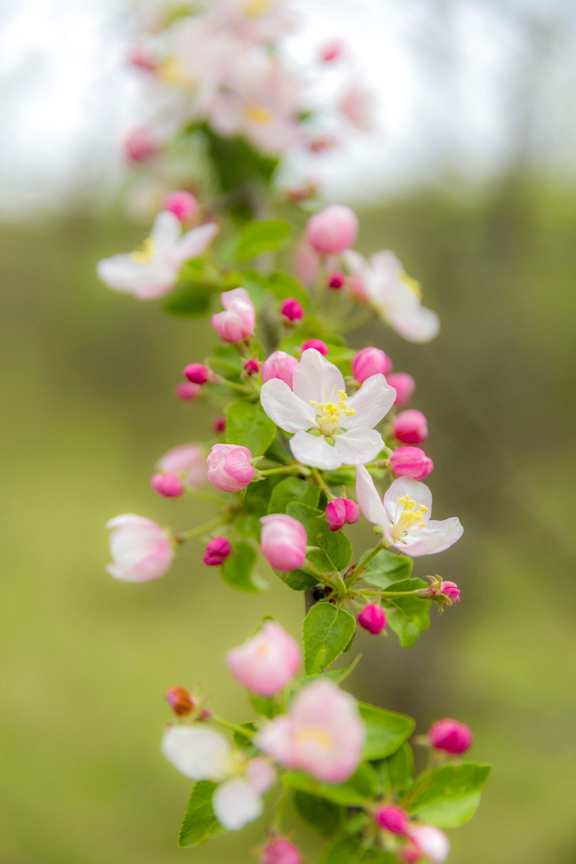 Фото о жизни