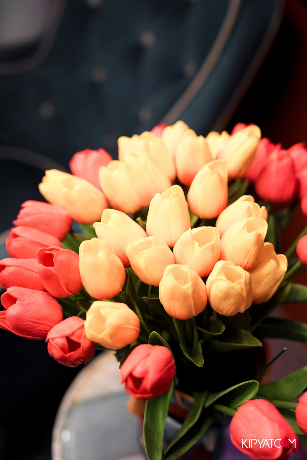 КАРАОКЕ DO RE MI. КИПЯТКОМ АЛМАТЫ!