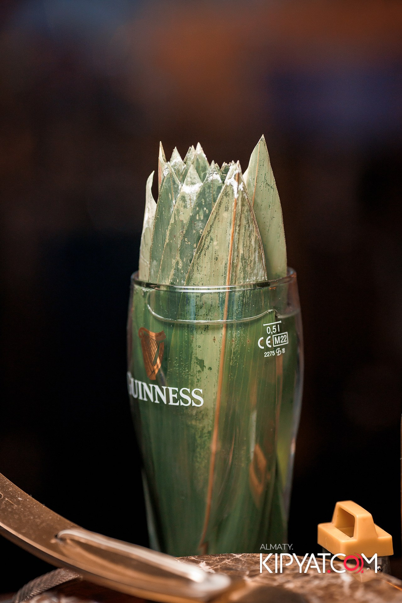 OLOVO НА САТПАЕВА. КИПЯТКОМ АЛМАТЫ! Фотосъемка мероприятий в Алматы