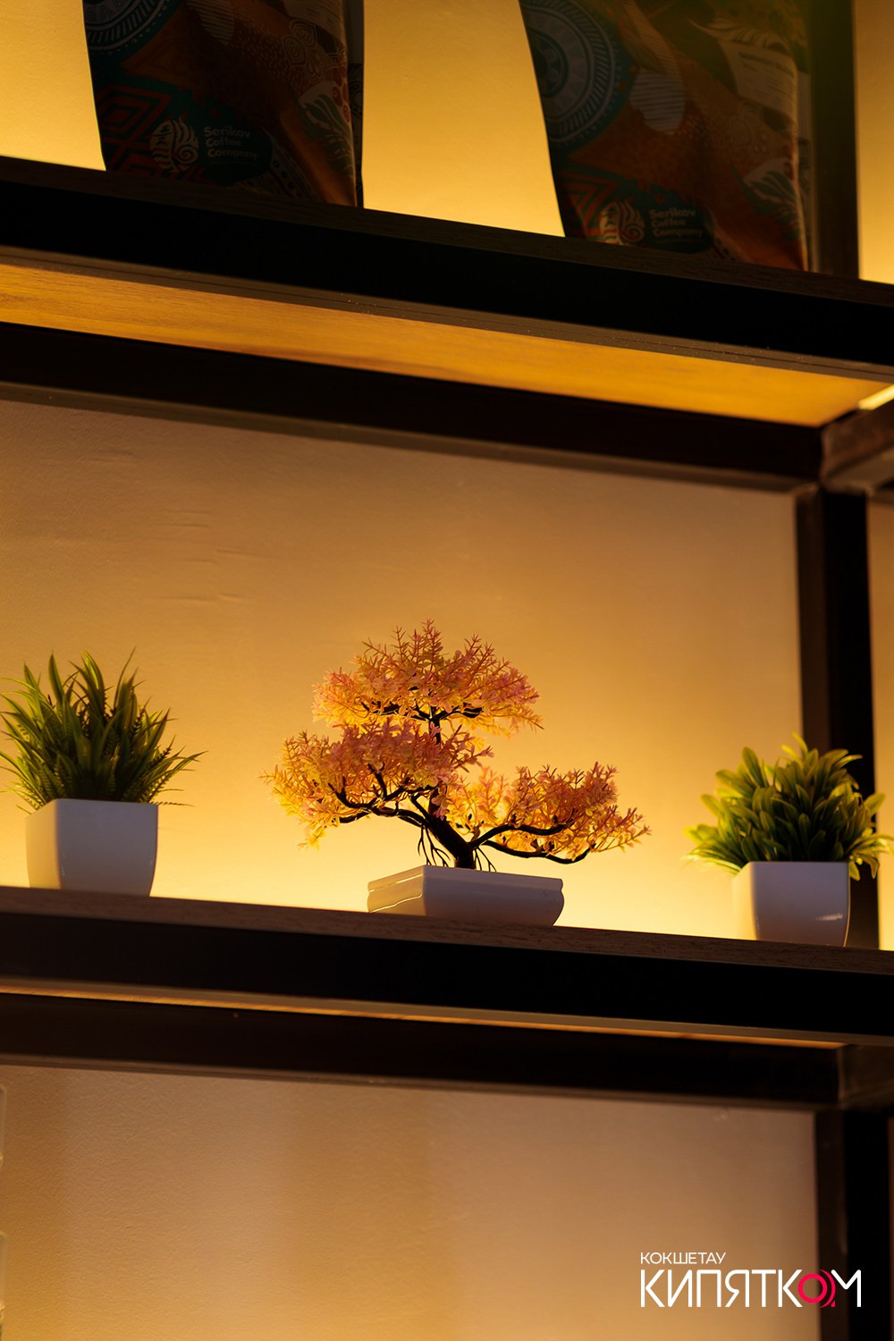 HANAMI. КИПЯТКОМ КОКШЕТАУ