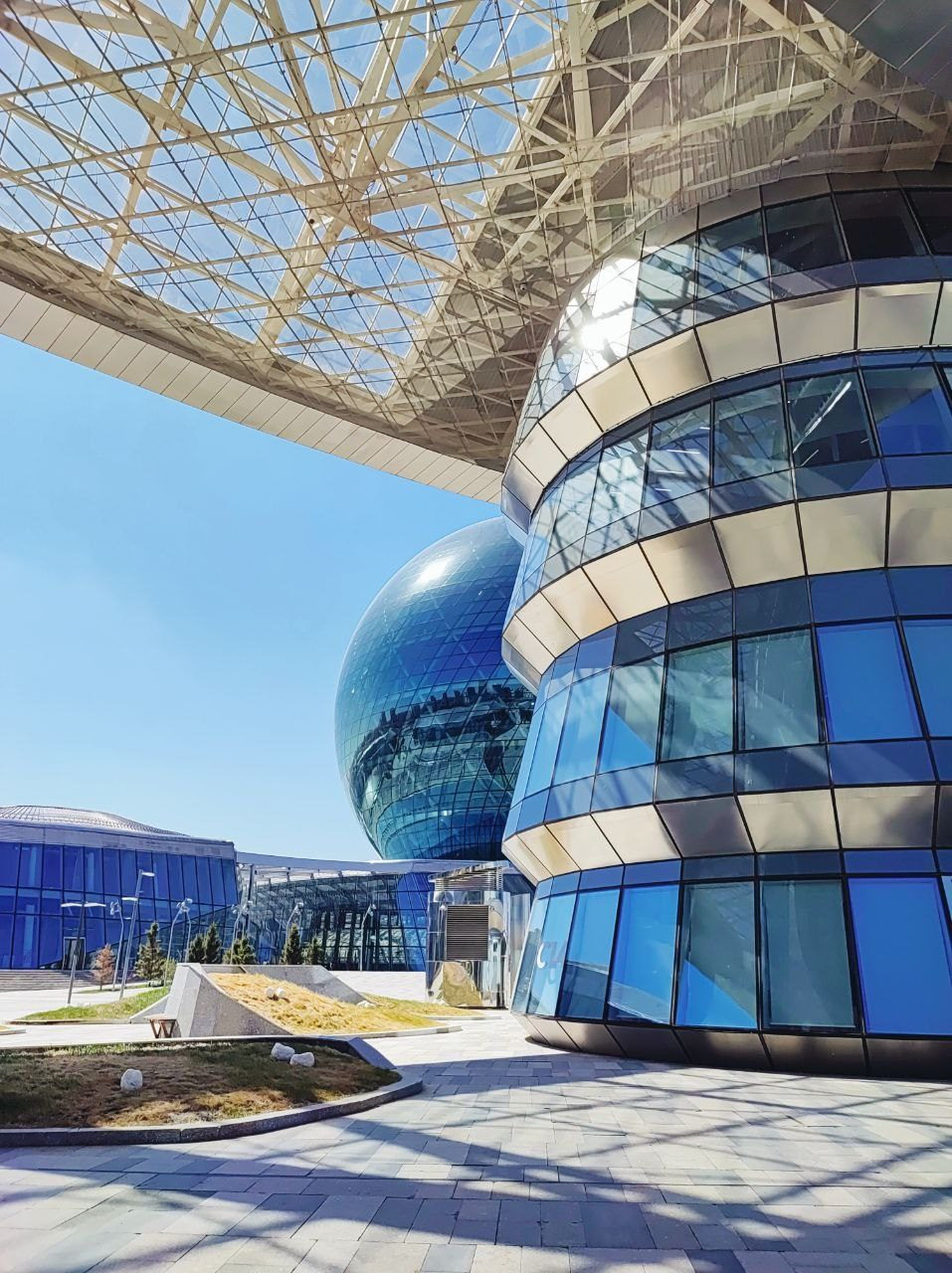 Намобилкус казахский. Репортажный фотограф Алексей Пирязев