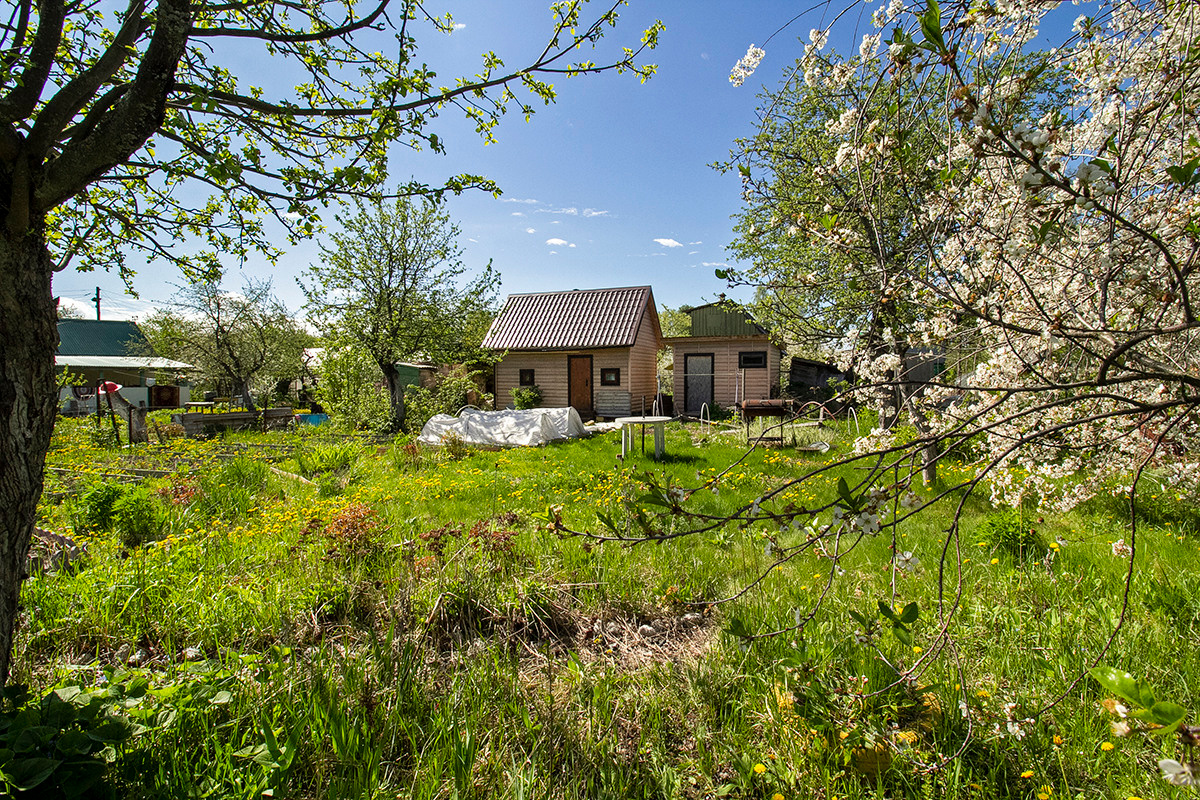 Фотографии. OlessiaKh